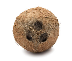 Similar image 5591404