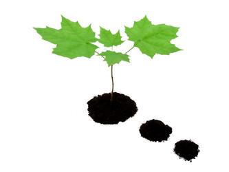 Similar image 5591410