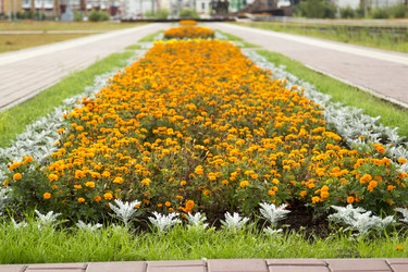 Similar image 5591485