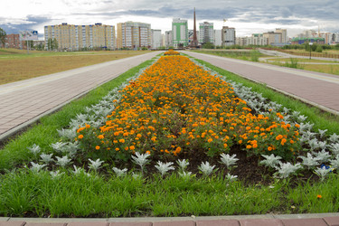 Similar image 5591487