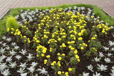 Similar image 5591488