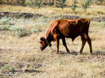 Similar image 5591512