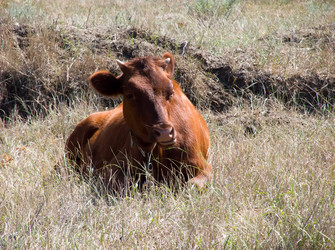 Similar image 5591526