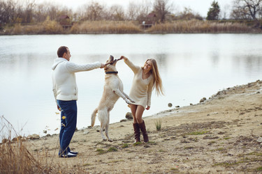 Similar image 5591580