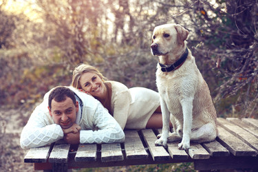 Similar image 5591603