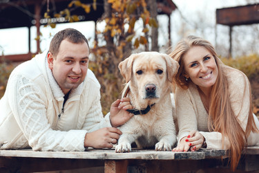 Similar image 5591604