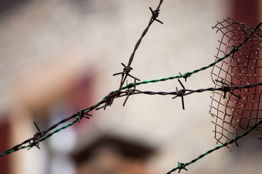 Similar image 5591656