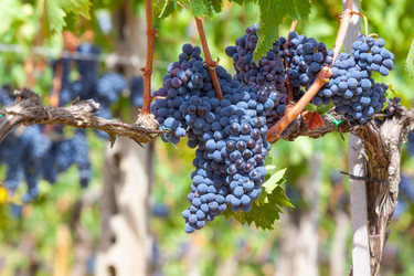 Similar image 5591664