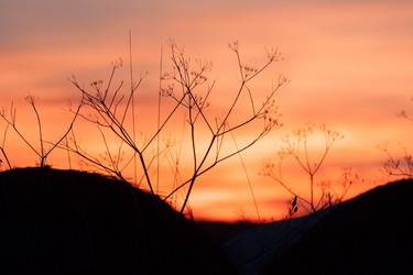 Similar image 5591666