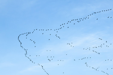 Similar image 5591670