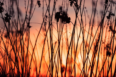 Similar image 5591672