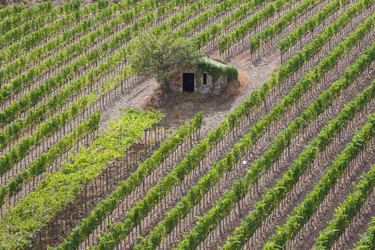 Similar image 5591679