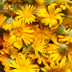 Similar image 5591712