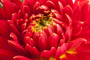 Similar image 5591713