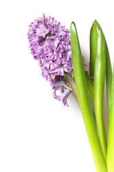 Similar image 5591717