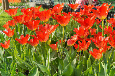 Similar image 5591720