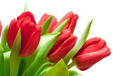 Similar image 5591724