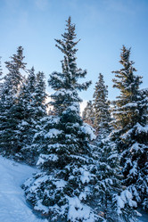 Similar image 5591737