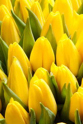 Similar image 5591738