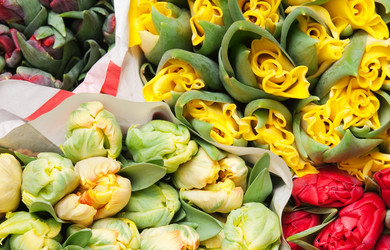 Similar image 5591746