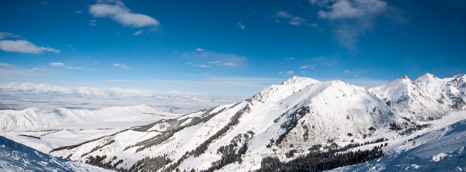 Similar image 5591748