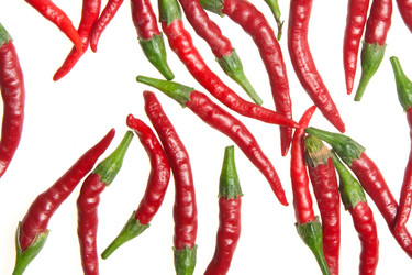 Similar image 5591779