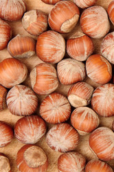 Similar image 5591780