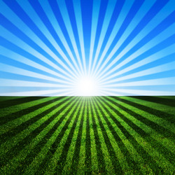 Similar image 5591795