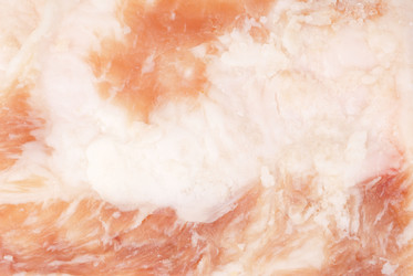 Similar image 5591802