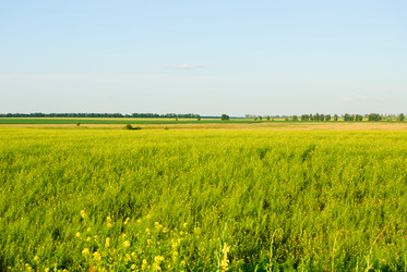 Similar image 5591812