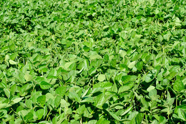 Similar image 5591815