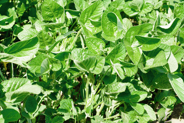 Similar image 5591817