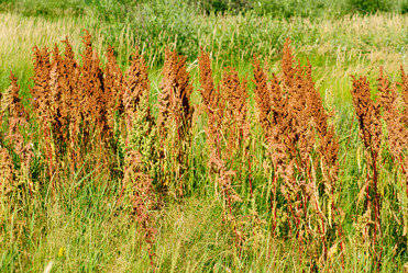 Similar image 5591818