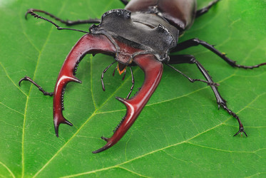 Similar image 5591824