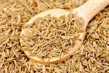 Similar image 5591832