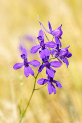 Similar image 5591834