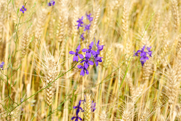 Similar image 5591844