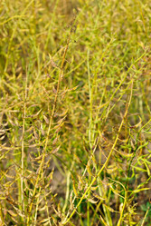 Similar image 5591850