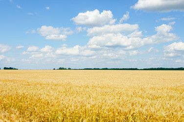 Similar image 5591856