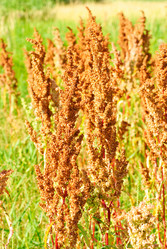 Similar image 5591858