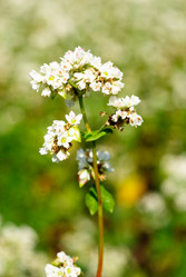 Similar image 5591865