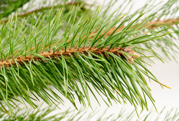 Similar image 5591866