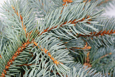 Similar image 5591870