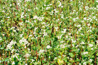 Similar image 5591871