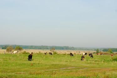 Similar image 5591880