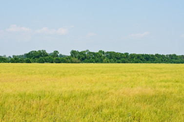 Similar image 5591881