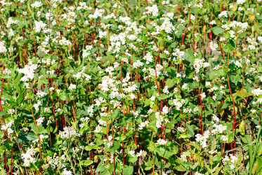 Similar image 5591888