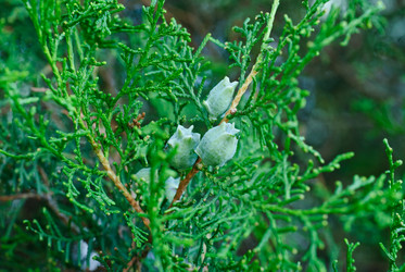 Similar image 5591890