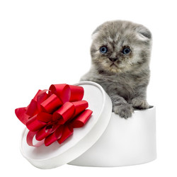 Similar image 5592282