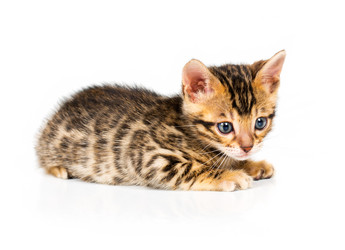 Similar image 5592396